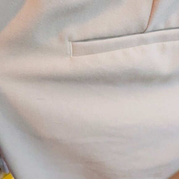 Alfani Size 4 (Minor Flaw small ink mark) Tan Wide Leg Slacks w/Faux Pockets - Picture 4 of 9